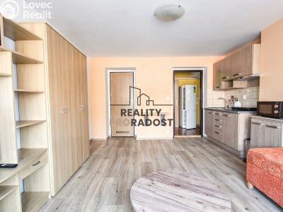 Rent apartment 1+KK Hodonín, Bezručova č. 2