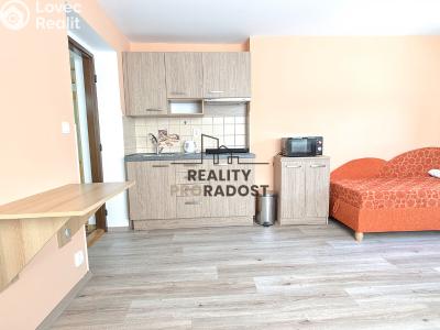 Rent apartment 1+KK Hodonín, Bezručova č. 5