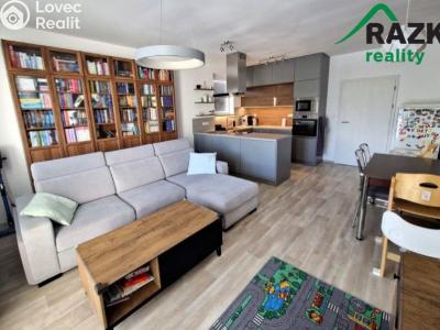 Sale apartment 4+KK Karlovy Vary, Truhlářská č. 14