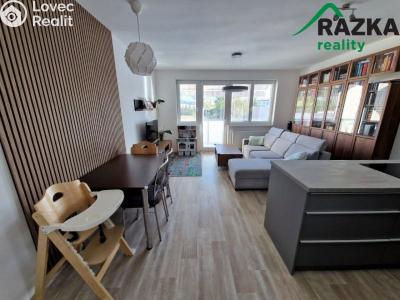 Sale apartment 4+KK Karlovy Vary, Truhlářská č. 2