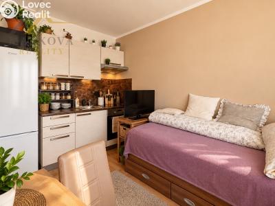 Prodej bytu 1+KK České Budějovice, Staroměstská č. 4