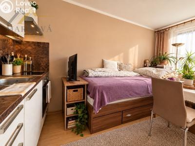 Prodej bytu 1+KK České Budějovice, Staroměstská č. 5