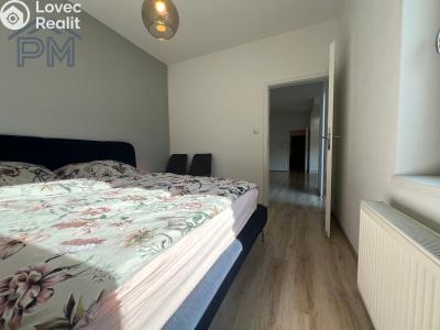 Pronájem bytu 3+KK Brno, Kigginsova č. 15