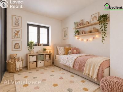 Prodej rodinného domu Chotěšov, Hřbitovní 227 č. 9