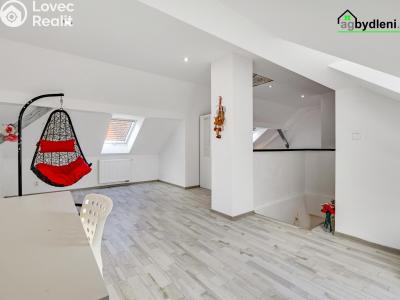 Prodej rodinného domu Chotěšov, Hřbitovní 227 č. 12