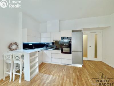 Rent apartment 2+KK Praha, Nikoly Tesly č. 1