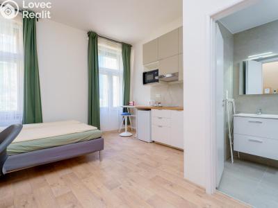 Pronájem bytu 1+KK Praha, Kateřinská č. 3