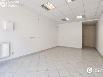 Pronájem rodinného domu Ivančice, Jana Schwarze č. 10