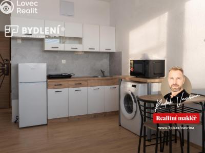 Pronájem bytu 1+KK Ústí nad Labem, Hoření č. 1