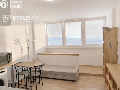 Pronájem bytu 1+KK Ústí nad Labem, Hoření č. 2