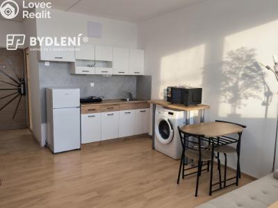 Pronájem bytu 1+KK Ústí nad Labem, Hoření č. 6