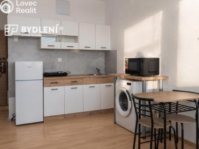 Pronájem bytu 1+KK Ústí nad Labem, Hoření č. 7
