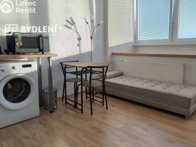Pronájem bytu 1+KK Ústí nad Labem, Hoření č. 8