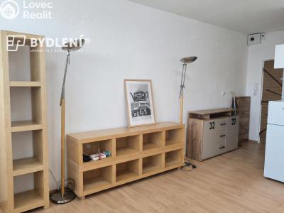 Pronájem bytu 1+KK Ústí nad Labem, Hoření č. 9