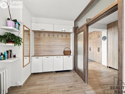 Продажа семейного дома Milotice, Rafanda 513 č. 3