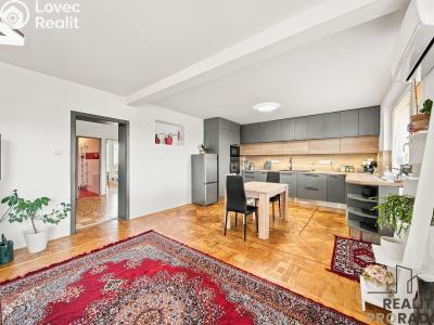 Продажа семейного дома Milotice, Rafanda 513 č. 13