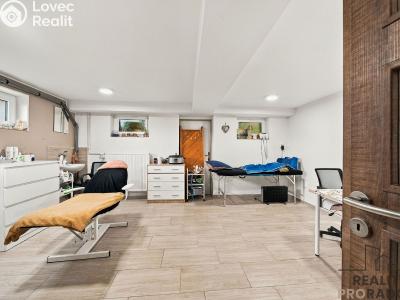 Продажа семейного дома Milotice, Rafanda 513 č. 21