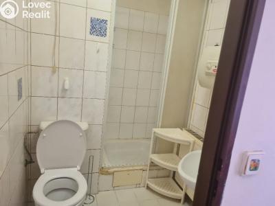 Rent apartment 1+KK Olomouc, Járy da Cimrmana č. 5