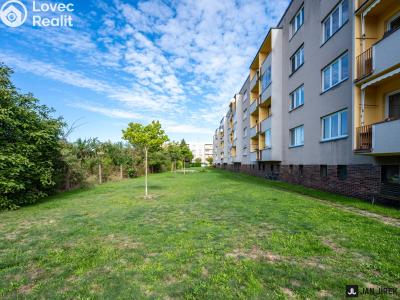 Sale apartment 3+KK Hradec Králové, Gollova č. 18