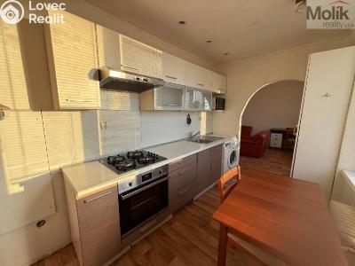 Rent apartment 2+1 Litvínov, Valdštejnská 919 č. 1