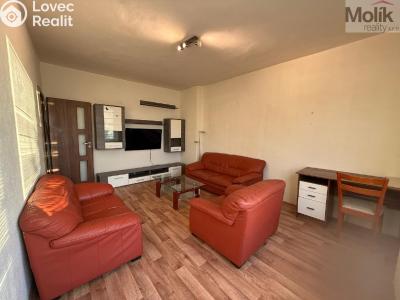 Rent apartment 2+1 Litvínov, Valdštejnská 919 č. 4