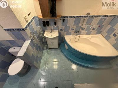 Rent apartment 2+1 Litvínov, Valdštejnská 919 č. 8