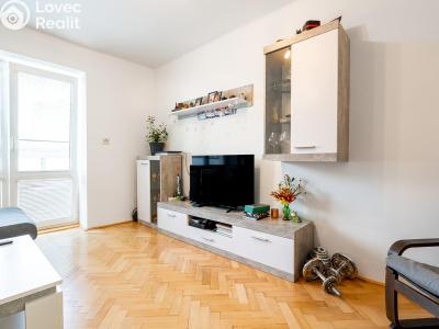 Sale apartment 2+1 Beroun, Jiřího Wolkera č. 11