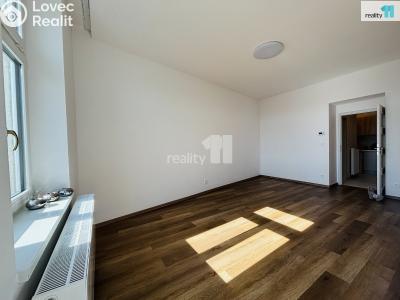 Rent apartment 1+1 Praha 10, Krymská č. 3