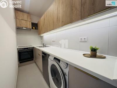 Rent apartment 1+1 Praha 10, Krymská č. 5