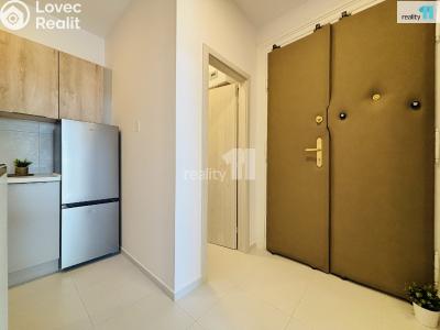 Rent apartment 1+1 Praha 10, Krymská č. 6