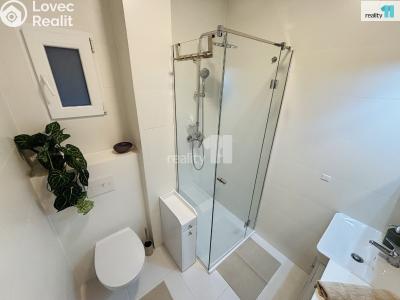 Rent apartment 1+1 Praha 10, Krymská č. 7
