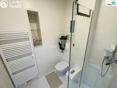Rent apartment 1+1 Praha 10, Krymská č. 8