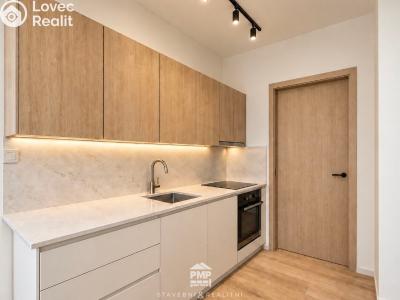 Продажа квартиры 1+1 Brno, Novoměstská č. 8