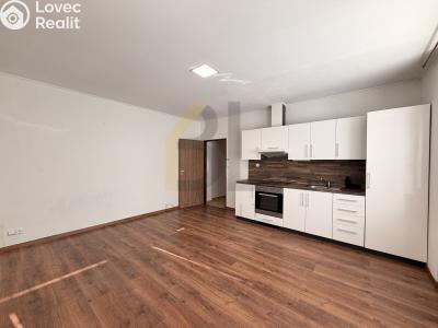 Rent apartment 1+KK Hodonín, Nádražní řádek č. 1