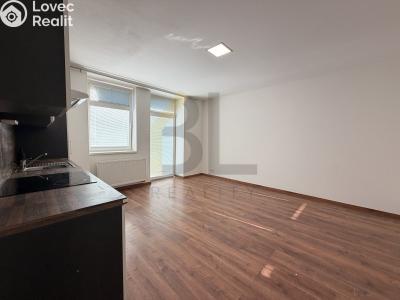 Rent apartment 1+KK Hodonín, Nádražní řádek č. 3