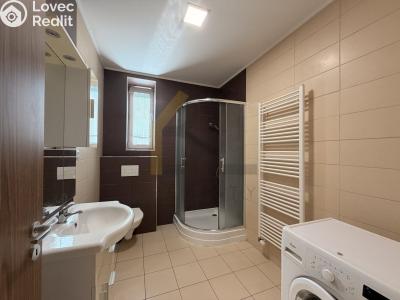 Rent apartment 1+KK Hodonín, Nádražní řádek č. 4