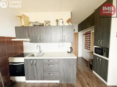 Sale apartment 1+1 Chodov, Čs. odbojářů č. 1