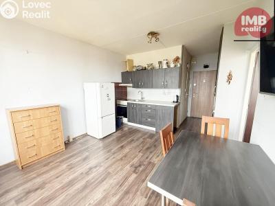 Sale apartment 1+1 Chodov, Čs. odbojářů č. 3