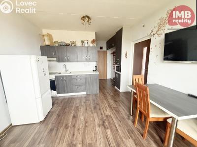 Sale apartment 1+1 Chodov, Čs. odbojářů č. 4