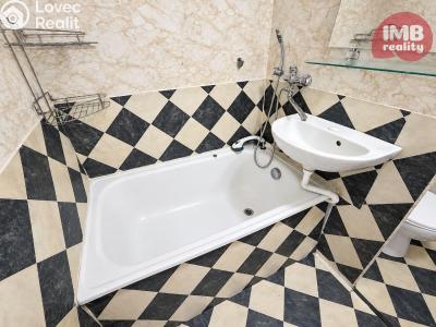 Sale apartment 1+1 Chodov, Čs. odbojářů č. 6