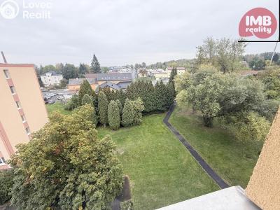 Sale apartment 1+1 Chodov, Čs. odbojářů č. 12
