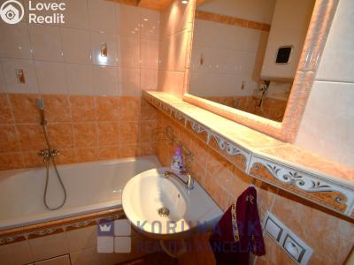 Sale apartment 2+1 Malovice č. 6
