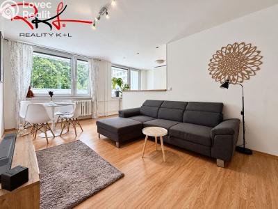 Rent apartment 3+KK Mladá Boleslav, Havlíčkova 1139 č. 1