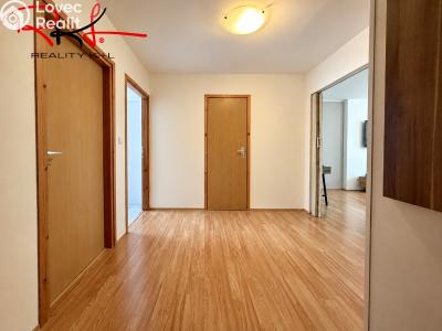 Rent apartment 3+KK Mladá Boleslav, Havlíčkova 1139 č. 16
