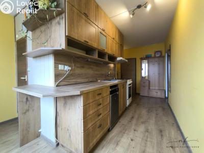 Rent apartment 2+1 Sokolov, Závodu míru č. 1