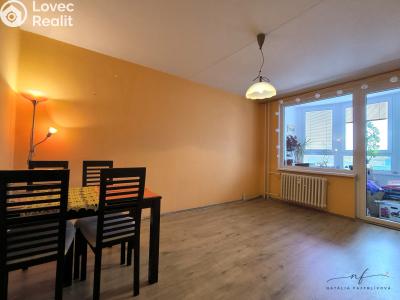Rent apartment 2+1 Sokolov, Závodu míru č. 2