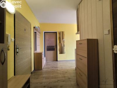 Rent apartment 2+1 Sokolov, Závodu míru č. 7