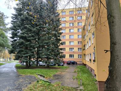 Rent apartment 2+1 Sokolov, Závodu míru č. 17