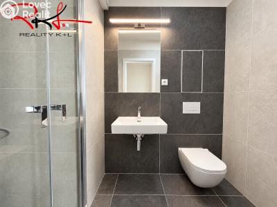 Rent apartment 1+KK Praha, Thomasova č. 5
