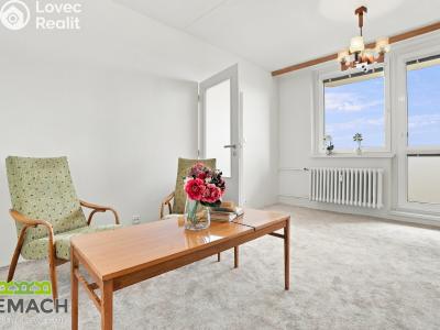 Rent apartment 2+1 Uherský Brod, Šaripova 1802 č. 5